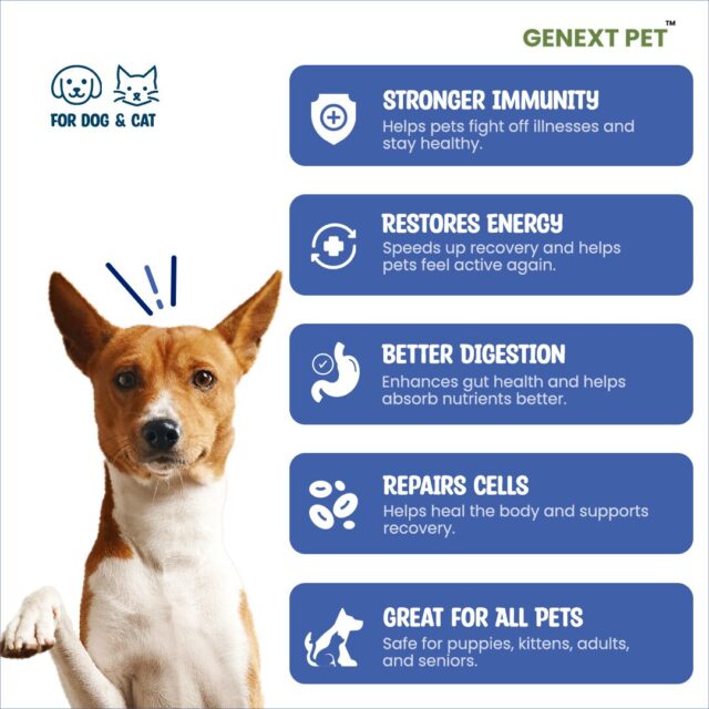 Dog with Neocleotide benefits like stronger immunity, better digestion, and energy boost