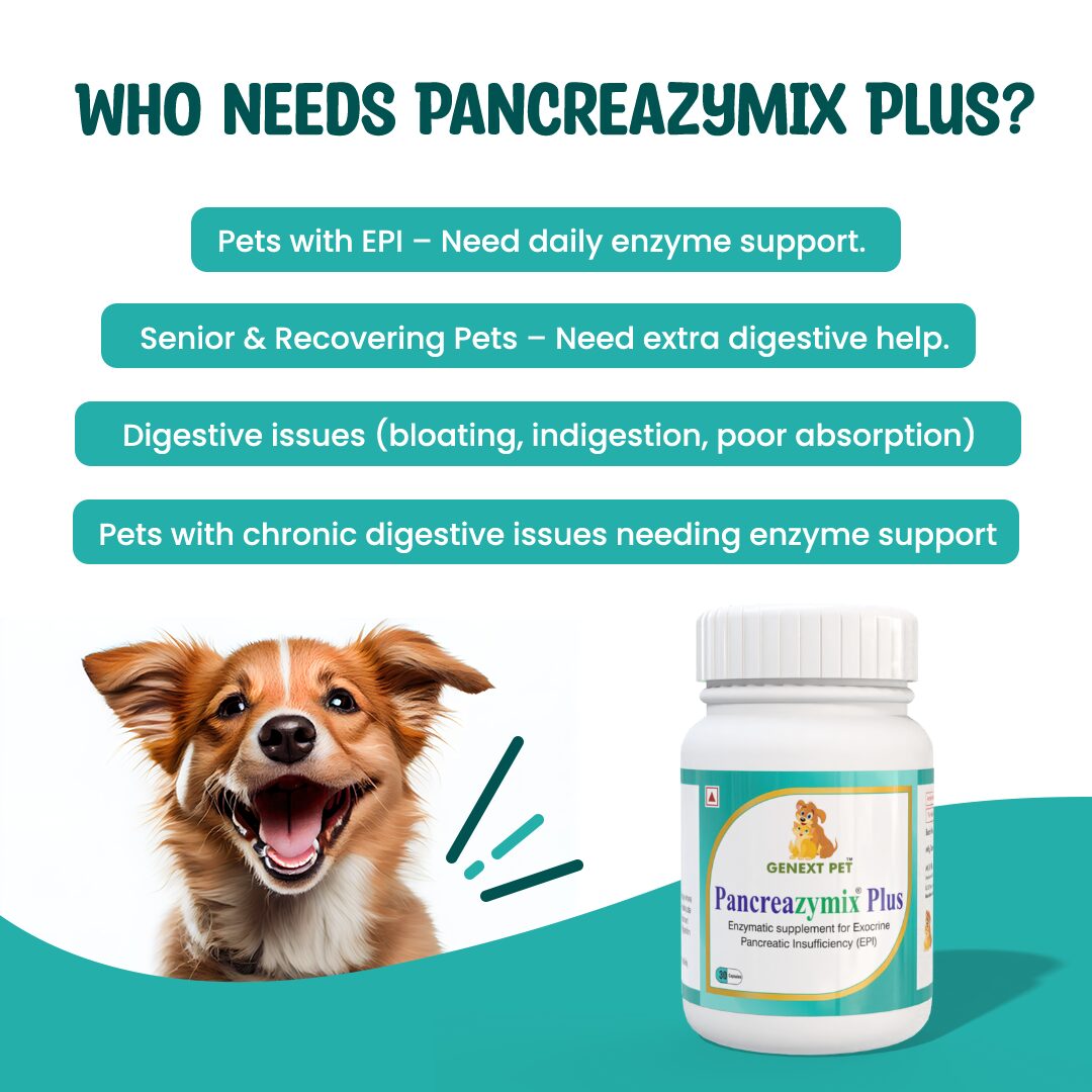 Pancreazymix Plus capsule benefits for pets with EPI, digestive issues, and senior pets needing enzyme support