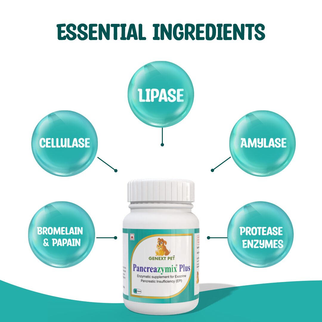 Key digestive enzyme ingredients in Pancreazymix including protease, amylase, lipase, and bromelain