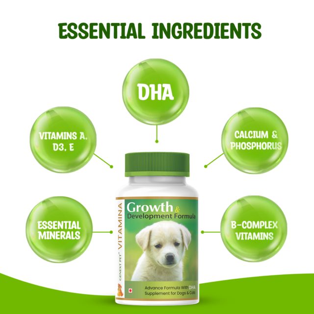 VITAMINA® – Multivitamin for Dogs & Cats | 60 Tabs - Image 3