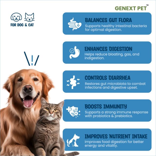 Key benefits of Neobiotic DFM supplement for pet digestion, gut flora, and immunity