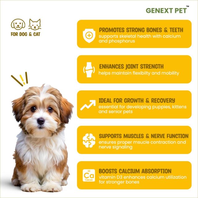 Benefits of GenextPet CAL supplement for strong bones, joint health, and muscle function in pets