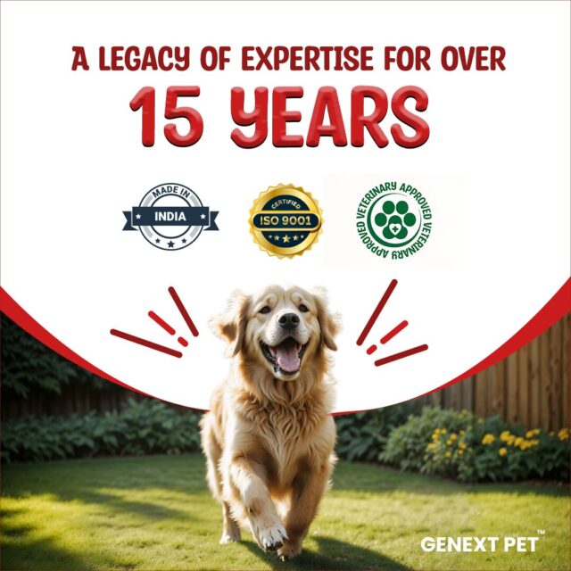 Golden retriever running outdoors showing 15 years of Glumaxx brand trust and veterinary approval