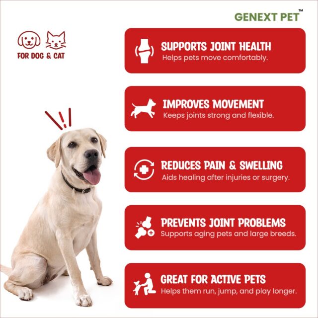 Joint Support Benefits of Glumaxx – Improves Mobility, Reduces Pain, Prevents Joint Issues