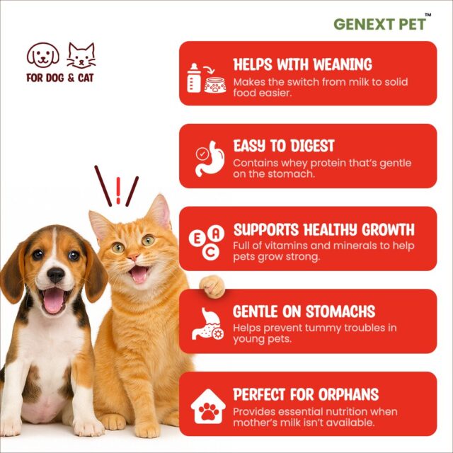 Benefits of Lact O Cent including immune support, healthy bones, digestion, and early development