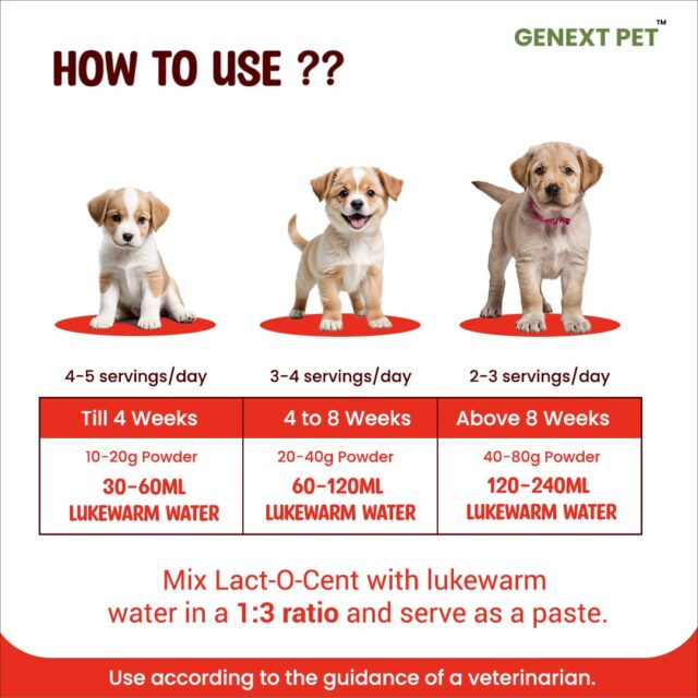 Feeding and dosage chart for Lact O Cent powder for puppies and kittens