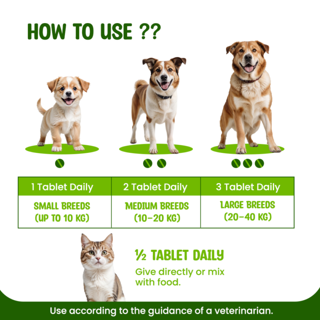 VITAMINA® – Multivitamin for Dogs & Cats | 60 Tabs - Image 4