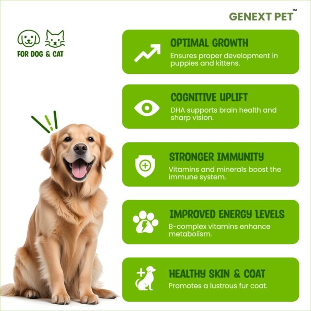 Key benefits of GenextPet VITAMINA: growth, cognition, immunity, energy, skin & coat
