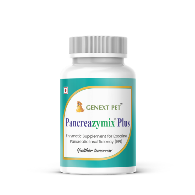 Pancreazymix Plus 100g Powder – Advanced Digestive Enzyme Support for Dogs & Cats