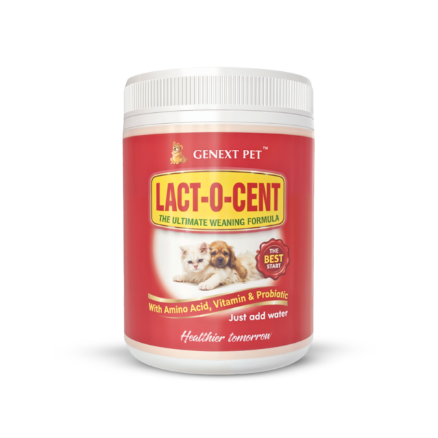 Lact O Cent 400g Powder – Ultimate Weaning Formula & Early Growth Support for Puppies & Kittens