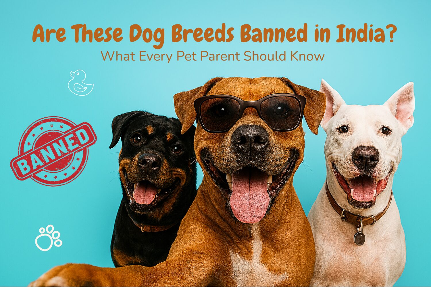 Labeled photo of banned dog breeds in India with warning sign background, legal guide concept