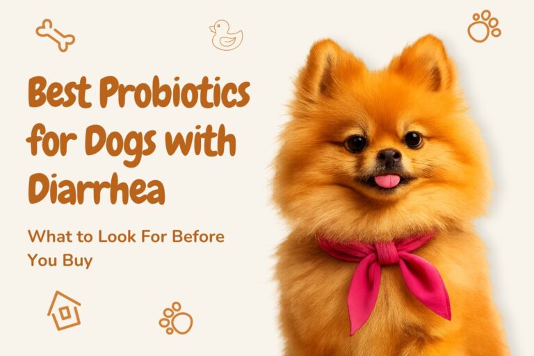 best probiotics for dogs with diarrhea