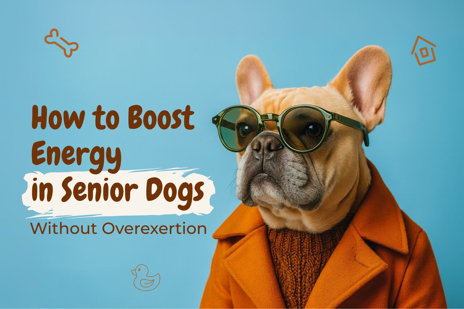 Stylish senior dog wearing sunglasses and orange coat with the text “How to Boost Energy in Senior Dogs Without Overexertion