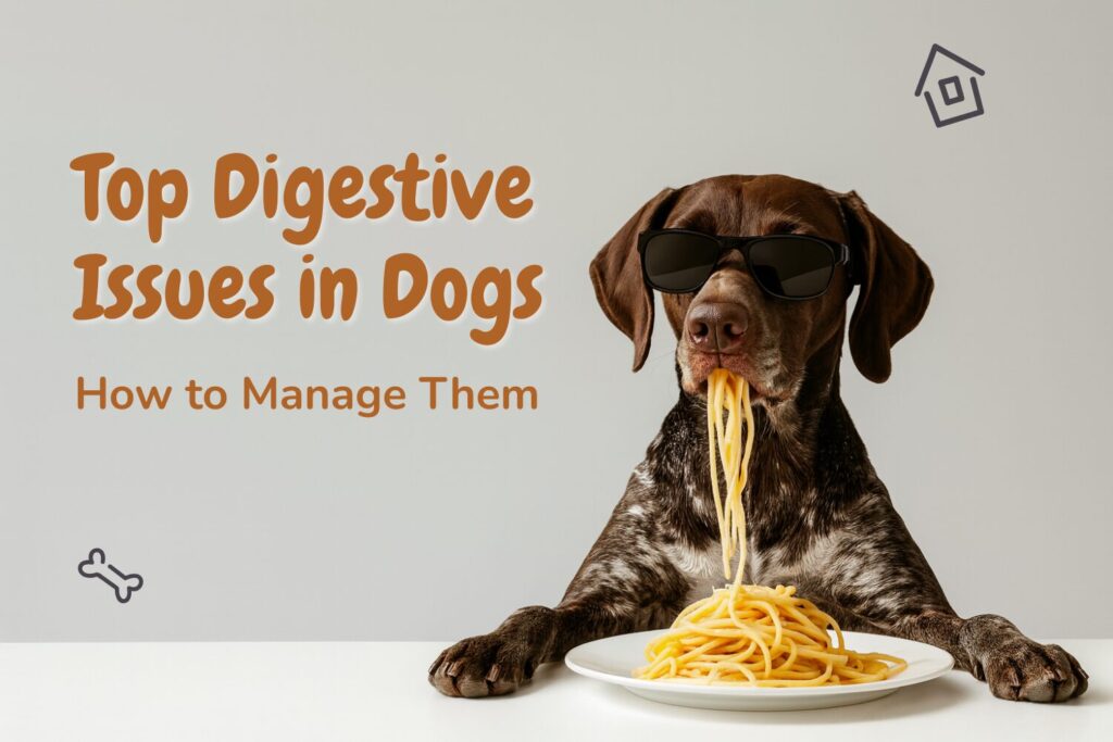 Dog wearing sunglasses eating spaghetti with the text “Top Digestive Issues in Dogs – How to Manage Them